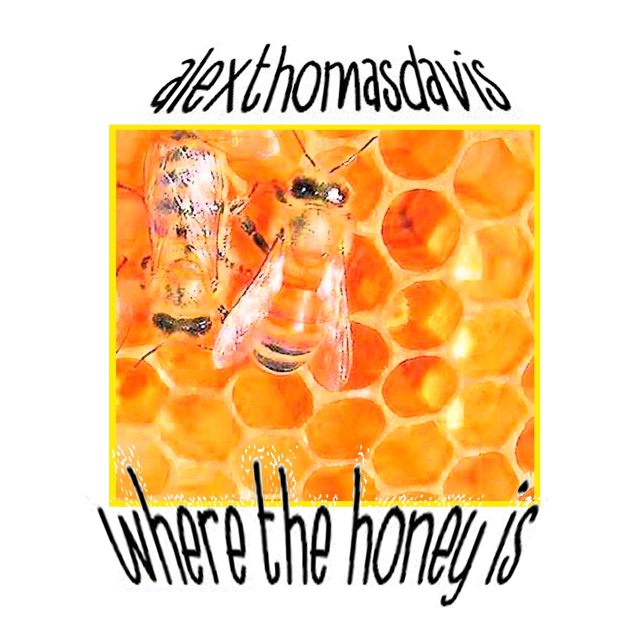 Where The Honey Is